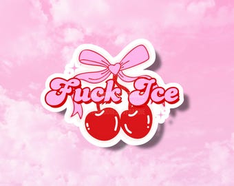 Fake Eis Sticker, Anti Eis, holografische Girly Aufkleber für Tumbler, Cherry, Linke, No Human is Illegal, Abolish Ice