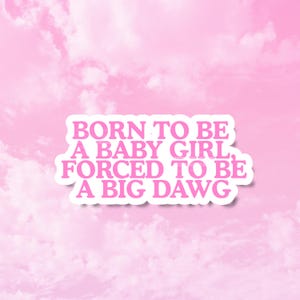 May include: A rectangular sticker with a white border featuring the pink text BORN TO BE A BABY GIRL, FORCED TO BE A BIG DAWG. The sticker is set against a background of a light pink sky with soft, fluffy white clouds throughout the entire frame.