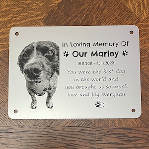 A Dog Cat Pet Memorial Plaque with PHOTO Personalised in Gold, Silver or Copper Colour 15x9.5cm/6x3.75" - we also offer custom sizes