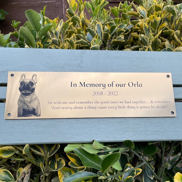A Dog Cat Pet Memorial Plaque with PHOTO Personalised in Gold, Silver or Copper Colour 25x7cm/9.84x2.75" - we also offer custom sizes