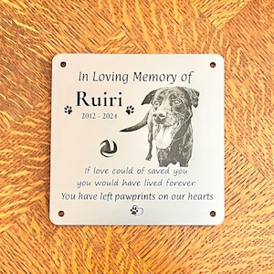Dog Cat Pet Animal Memorial Plaque with PHOTO - 10x10cm/4x4inch Personalised Silver, Gold or Copper Colour - message us for a custom size