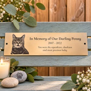 May include: A rectangular gold-toned metal memorial plaque featuring an engraved portrait of a tabby cat on the left side. The text reads: In Memory of Our Darling Penny, 2007-2022, You were the squeakiest, cheekiest and most precious baby.