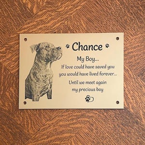 Dog Cat Pet Animal Memorial Plaque with PHOTO - 18x13cm/7x5inch Personalised in Silver, Gold or Copper Colour - message us for a custom size