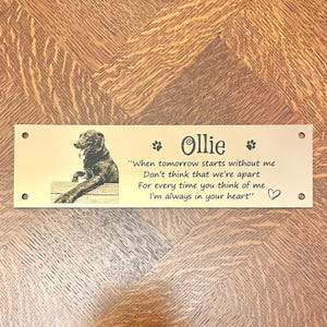 Dog Cat Pet Memorial Animal Plaque with PHOTO- 25x7cm/9.84x2.75inch Personalised in Silver, Gold or Copper Colour- message for a custom size