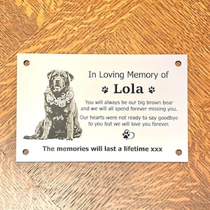 Dog Cat Pet Animal Memorial Plaque with PHOTO -15x9.5cm/6x3.8inch Personalised in Silver, Gold or Copper Colour-message us for a custom size