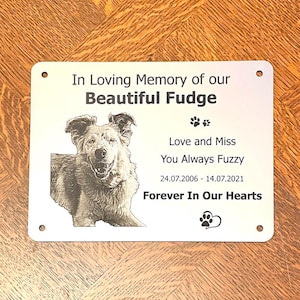 Dog Cat Pet Animal Memorial Plaque with PHOTO -20x15cm/7.87x5.9inch Personalised in Silver, Gold or Copper Colour- message for a custom size