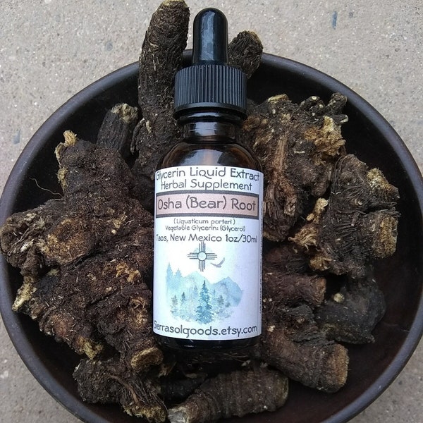 Osha Root Extract-Bear Root-Glycerin liquid Extract-Taos NM-1oz