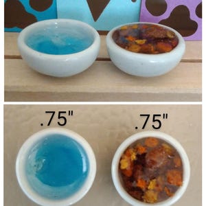 May include: Two small, white ceramic bowls, each .75 inches in diameter, are displayed. One bowl contains blue liquid, the other contains a mix of brown and orange items. The bowls are labeled "#1".