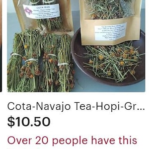Cota-Navajo Tea-Hopi-Greenthread-Wildcrafted-Taos NM image 13
