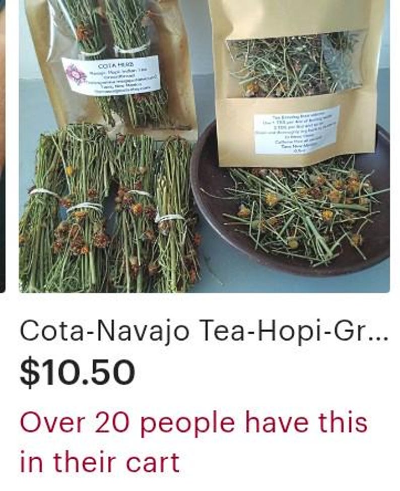 Cota-Navajo Tea-Hopi-Greenthread-Wildcrafted-Taos NM image 13