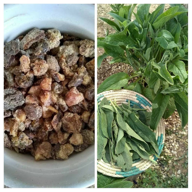 Puede incluir: Un bol lleno de cristales de az&uacute;car marrones y blancos, y una cesta de plantas verdes de hoja.