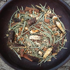 Osha Spice TEA-Osha Root-Piñon Pine Needles-Natural and Caffeine Free-Taos NM-1oz