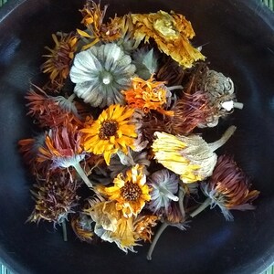 May include: A collection of dried calendula flowers in shades of orange, yellow, and brown, clustered together inside a dark brown, circular wooden bowl. The dried petals and flower heads show varied textures and natural, muted earth tones.