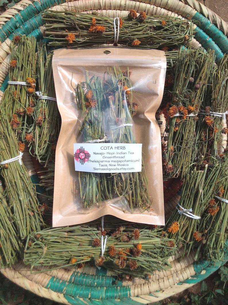 May include: A clear plastic pouch containing dried Cota herb, labeled with the text Cota Herb, Navajo-Hopi-Indian Tea, Greenthread, Thelesperma megapotamicum, Taos, New Mexico, and sierrasolgoods.etsy.com, surrounded by bundles of the same herb.