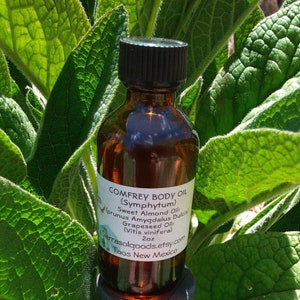 Comfrey Body Oil-2oz-4oz-Taos NM