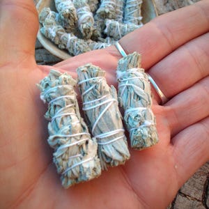 May include: Close-up of several bundles of dried sage, tightly wrapped with white string. The sage has a pale green and gray color. Some bundles are in a small, light-colored bowl, while others are held in a hand.