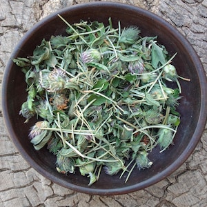 TEA-Piñon Pine-Red Clover-Peppermint-Caffeine free ALL Natural-Taos NM-1oz