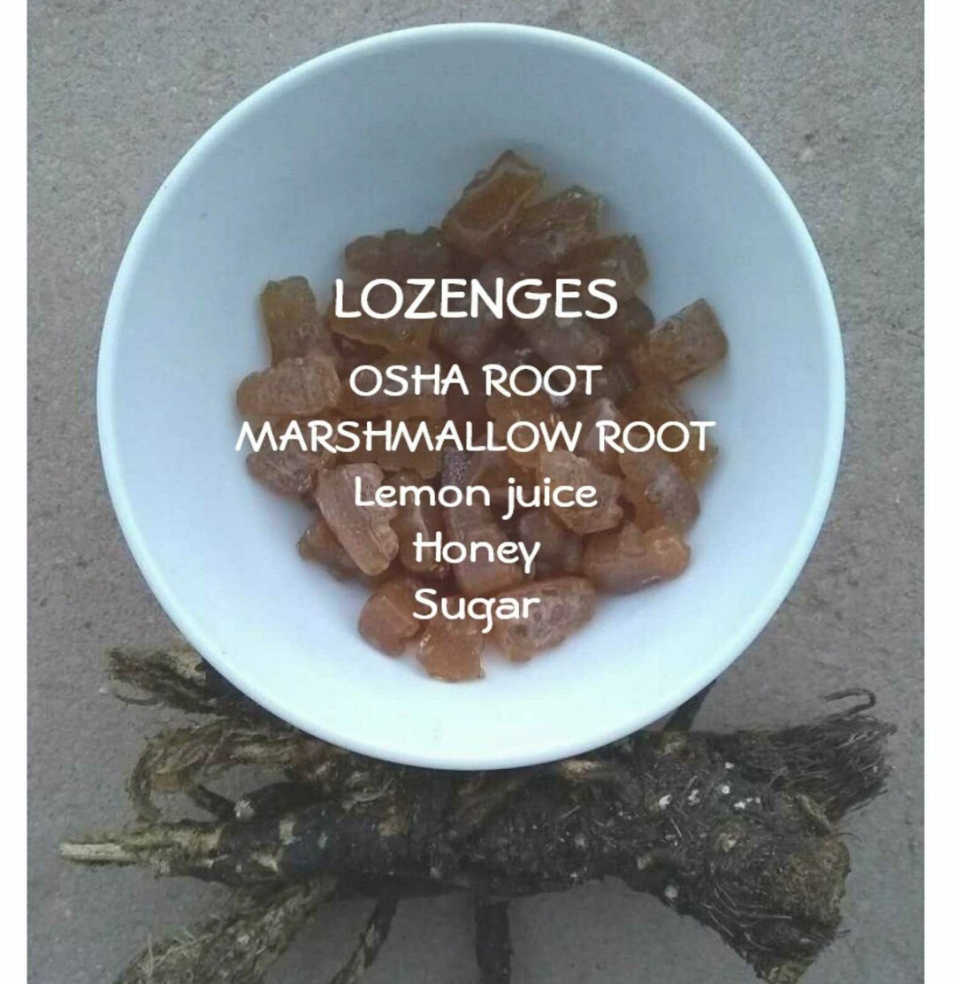 Osha Root Lozenges OR Lollipopsmarshmallow Rootwild Craftedtaos Nmmade Fresh per Order Etsy