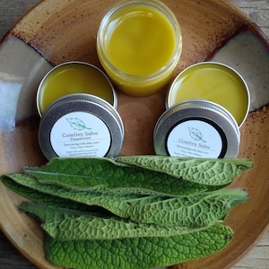 May include: Two small round tins of Comfrey Salve, one with peppermint and one without, on a brown plate with green leaves. The tins have white labels with black text that reads "Comfrey Salve" and "Sierragoldgoods.etsy.com".