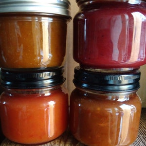 Mermelada de ciruela - 225 g - Morada - Green Gage - Green Gage y jengibre - Ciruela nativa - Lote pequeño - Cosecha fresca - Taos, NM