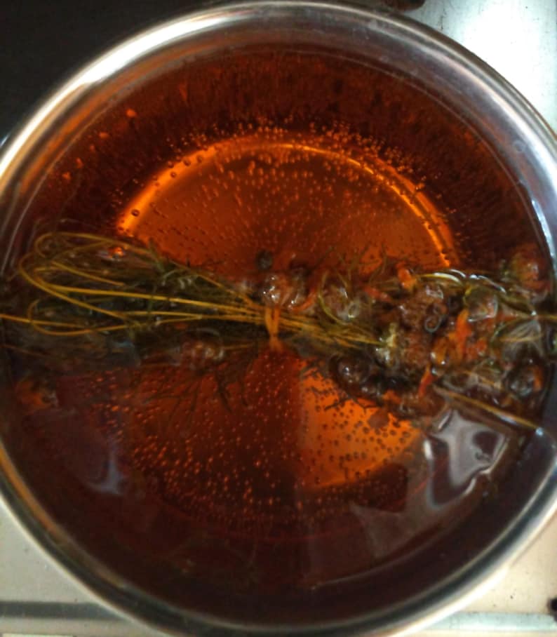 May include: A stainless steel pot filled with a clear amber liquid. Submerged in the liquid is a bundle of green herbs tied with a thin orange string. Small bubbles are visible throughout the liquid, concentrated around the herb bundle.