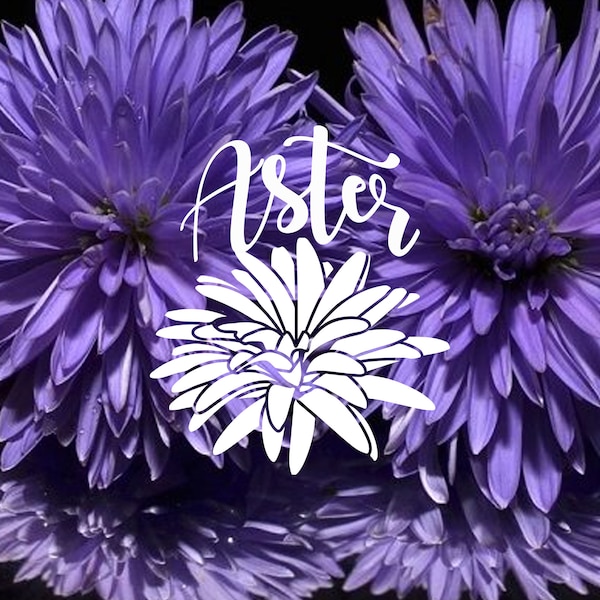 Aster Flower Name Vinyl Decal-Sticker-Custom