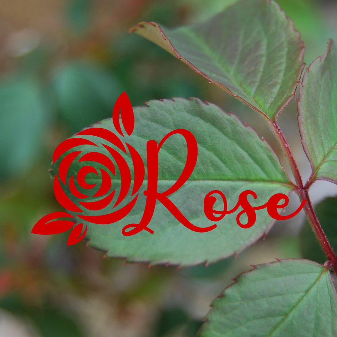 Rose Flower Name Vinyl Decalstickercustom Etsy