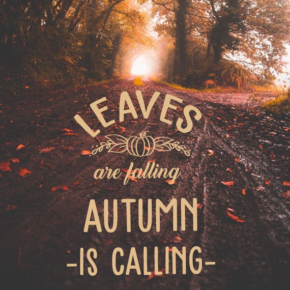 Leaves Are Falling Autumn is Calling Vinyl Decal Etsy