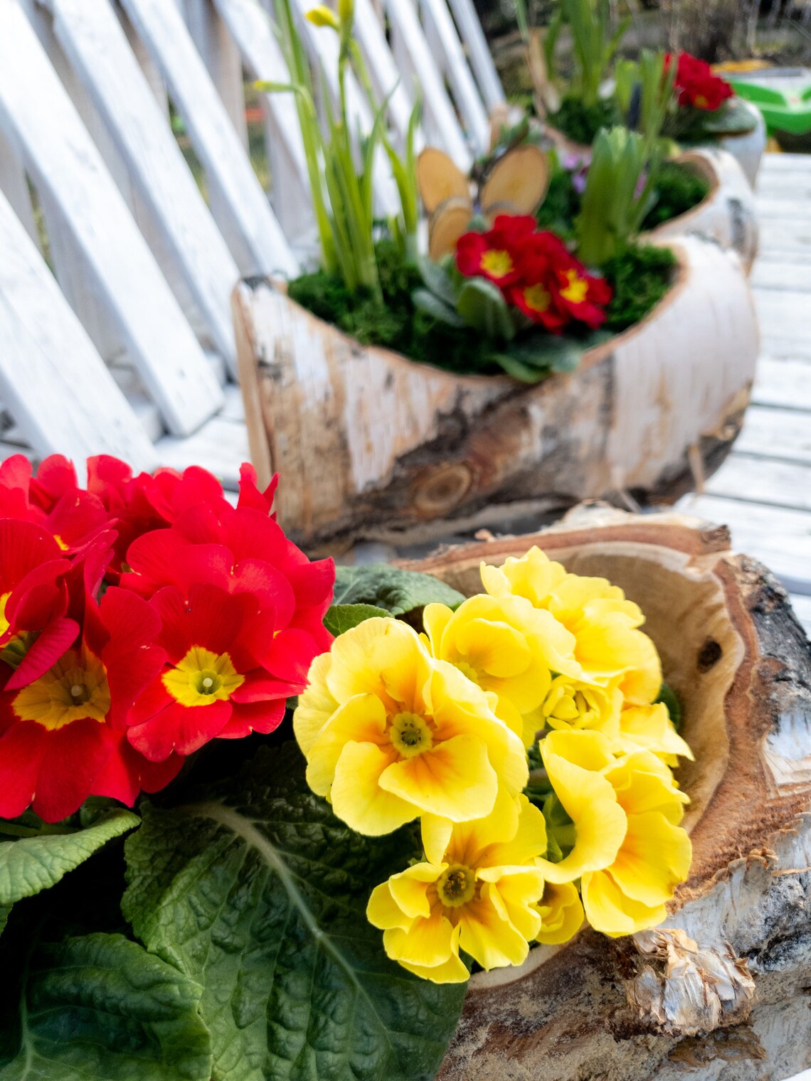 Birch Flower Pot Box for House and Garden. Flowers Belong to Etsy