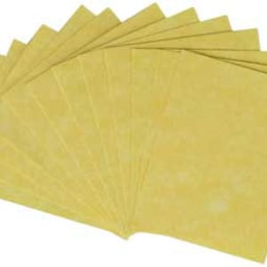 Southworth Ivory Parchment Paper / Set of 12 Sheets 