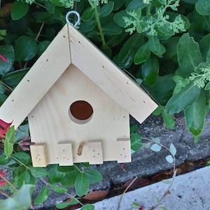 2 Pack Special Basic Birdhouse with Trim