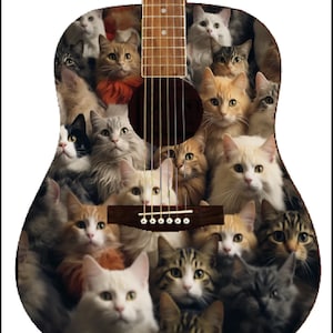 Custom Acoustic Guitar