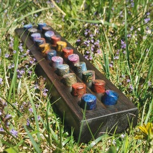 May include: A dark wooden game board with a series of colourful, cylindrical game pieces. The pieces are various colours, including blue, red, yellow, and green. The board is set in a bed of green grass and small purple flowers.