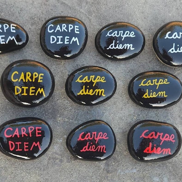 Carpe Diem | Painted Rocks