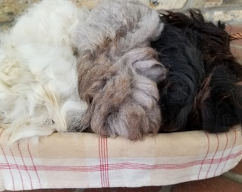 Raw Alpaca Fiber, 0.5lb (8oz), for spinning and other crafts, 1st and 2nd grade quality