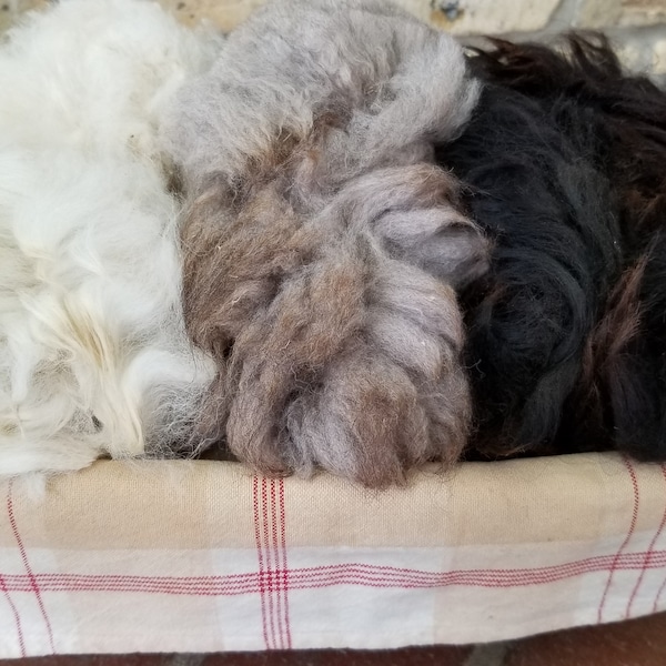 Raw Alpaca Fiber, 0.5lb (8oz), for spinning and other crafts, 1st and 2nd grade quality