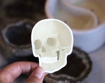 Skeleton Skull Sticker