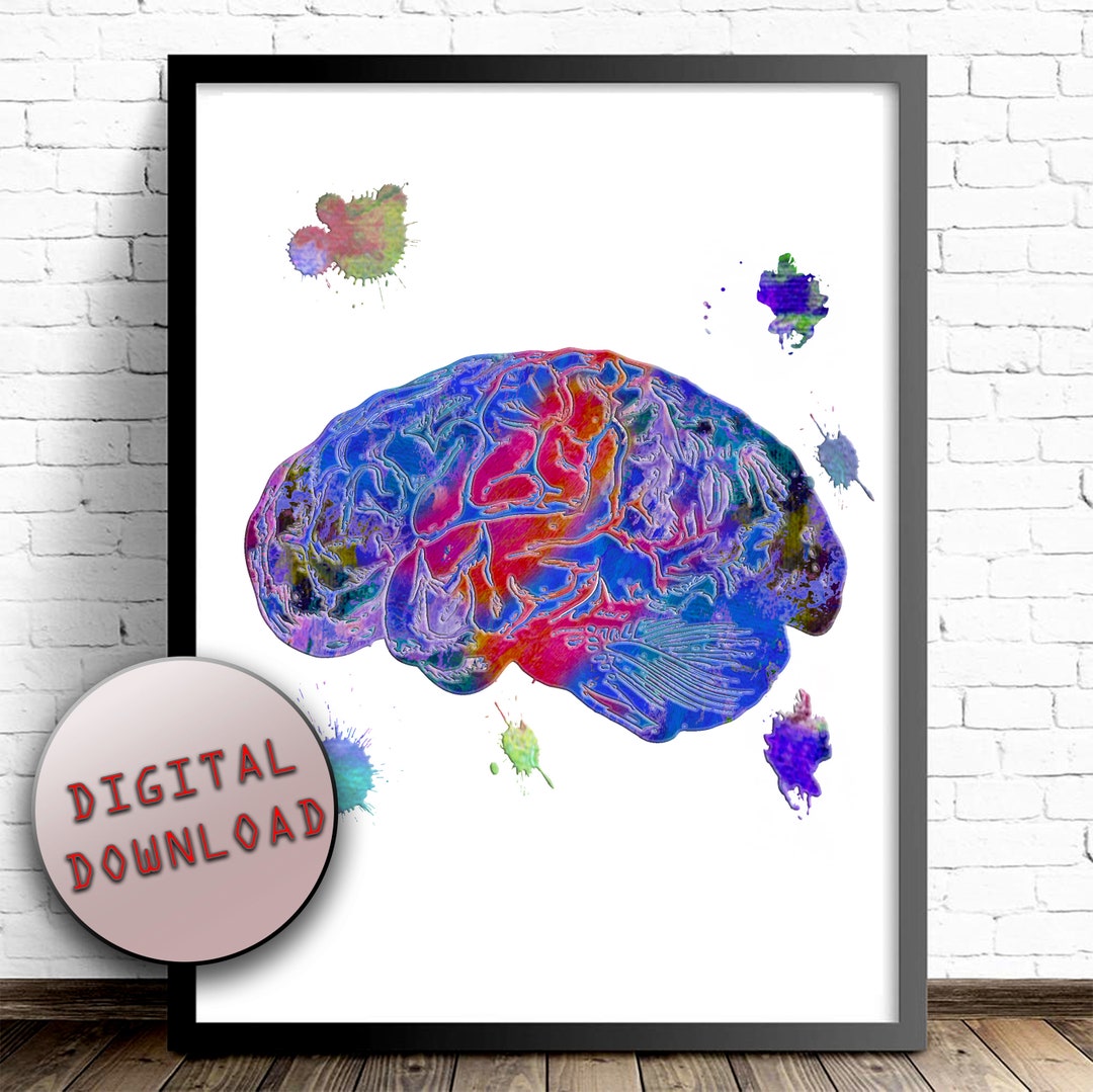Human Brain ANATOMY Sagittal View Cross Section Watercolor Print Limbic ...