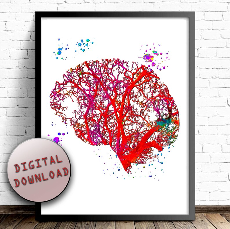 HUMAN BRAIN ANATOMY Sagittal View Cross Section Watercolor Print Limbic ...