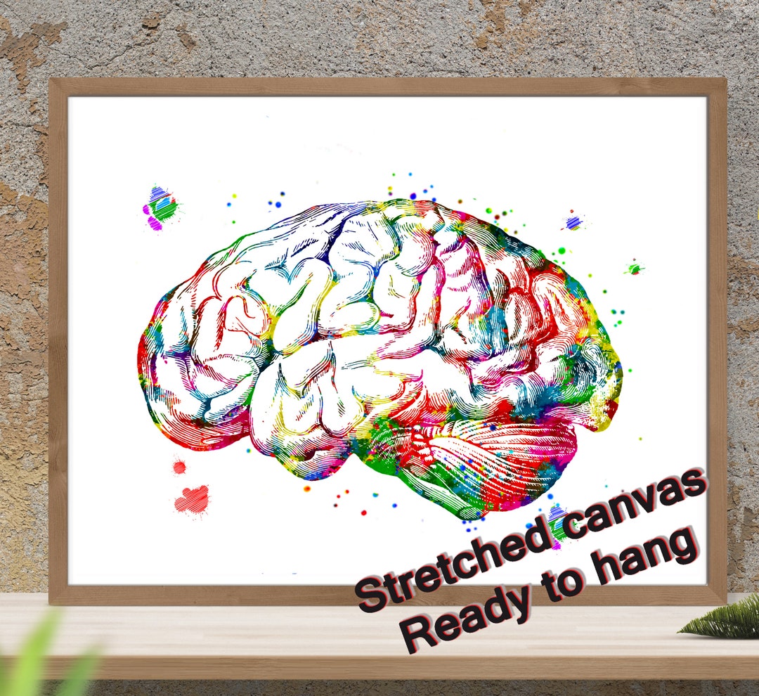 ANATOMY BRAIN Watercolor Print Human Brain Sagittal View Cross Section ...