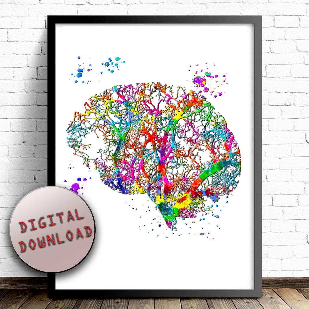 HUMAN BRAIN ANATOMY Sagittal View Cross Section Watercolor Print Limbic ...