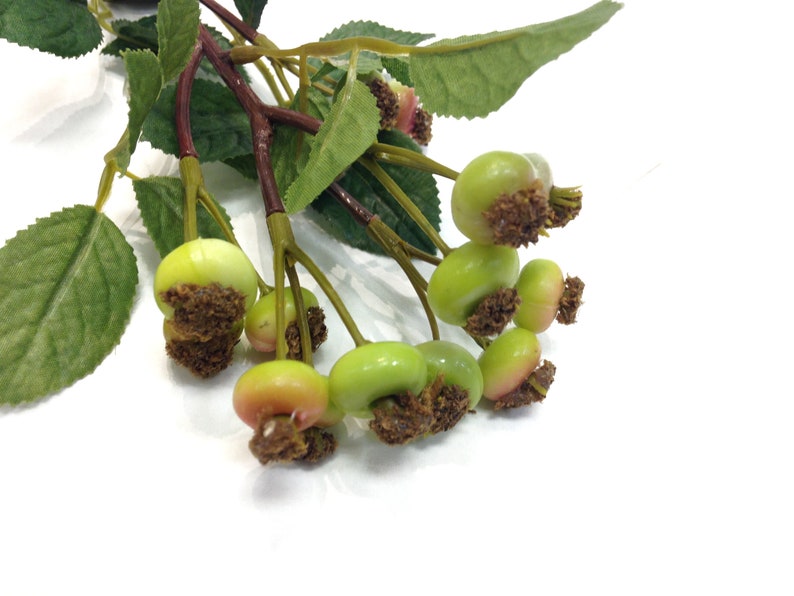 Rose Hip Spray Green Rose Hips Faux Rose Hips Green Berry Etsy