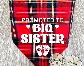 Big sister dog bandana, Baby announcement, pregnancy reveal pet bandana PROMOTED TO  Big Sister over the collar dog bandana Red TARTAN