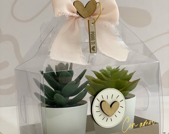 Acetate Gift/Favor Lunch Box – Box Template – SVG + Studio + PDF – Easy No-Glue Assembly – Digital Download