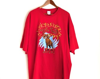 Vintage Y2K Red Valley of Fire, Las Vegas Graphic T-Shirt, Unisex XXL