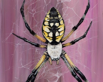 Argiope aurantia- Garden Mother:  18"x24" Limited Edition Autographed and Numbered Art Print