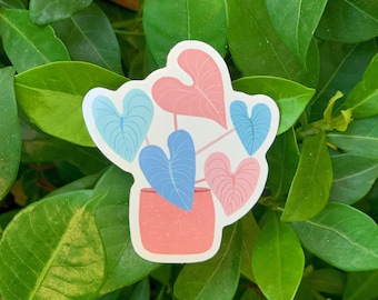 Pink Leaf Philodendron Plant Sticker, Glossy Vinyl Contour Cut Sticker, Houseplant Sticker, Hydroflask Sticker, Laptop Sticker