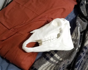Horse Skull w/ Articulated Jaw 3D printed