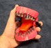 Magnetic Dental Drill Screw Bit Holder now WITH Tongue! With or Without Bits. 