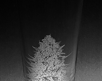 Cannabis Flower Photograph Sandblasted Glasses
